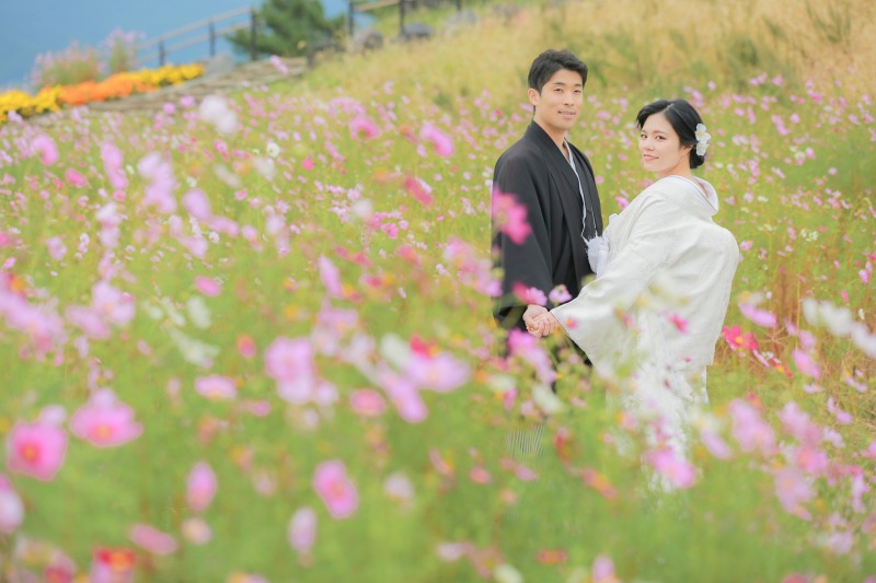 秋らしいコスモスが咲いていて和装にも合いますね