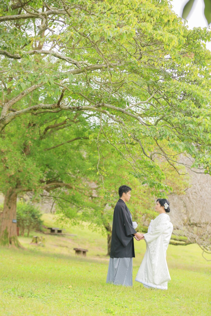 緑の綺麗な公園で。春の様な雰囲気で