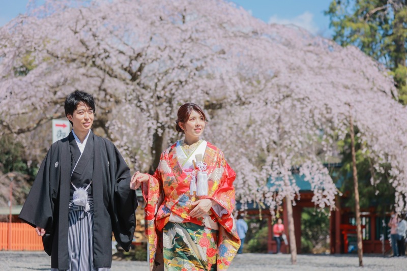 浅間大社での桜は3月中旬〜4月上旬頃まで可能です