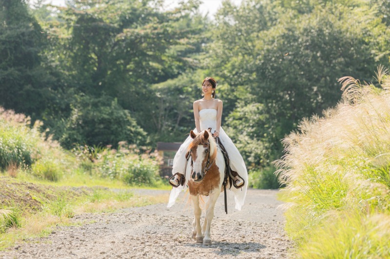 ススキが秋らしい