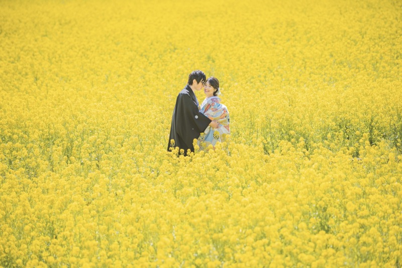 河津桜だけでなく、一面の菜の花畑も魅力