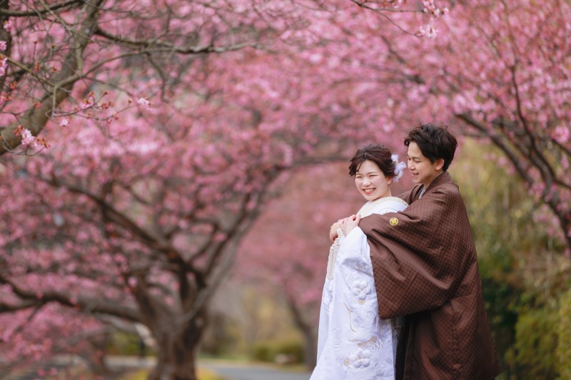 一面の桜の道の中で