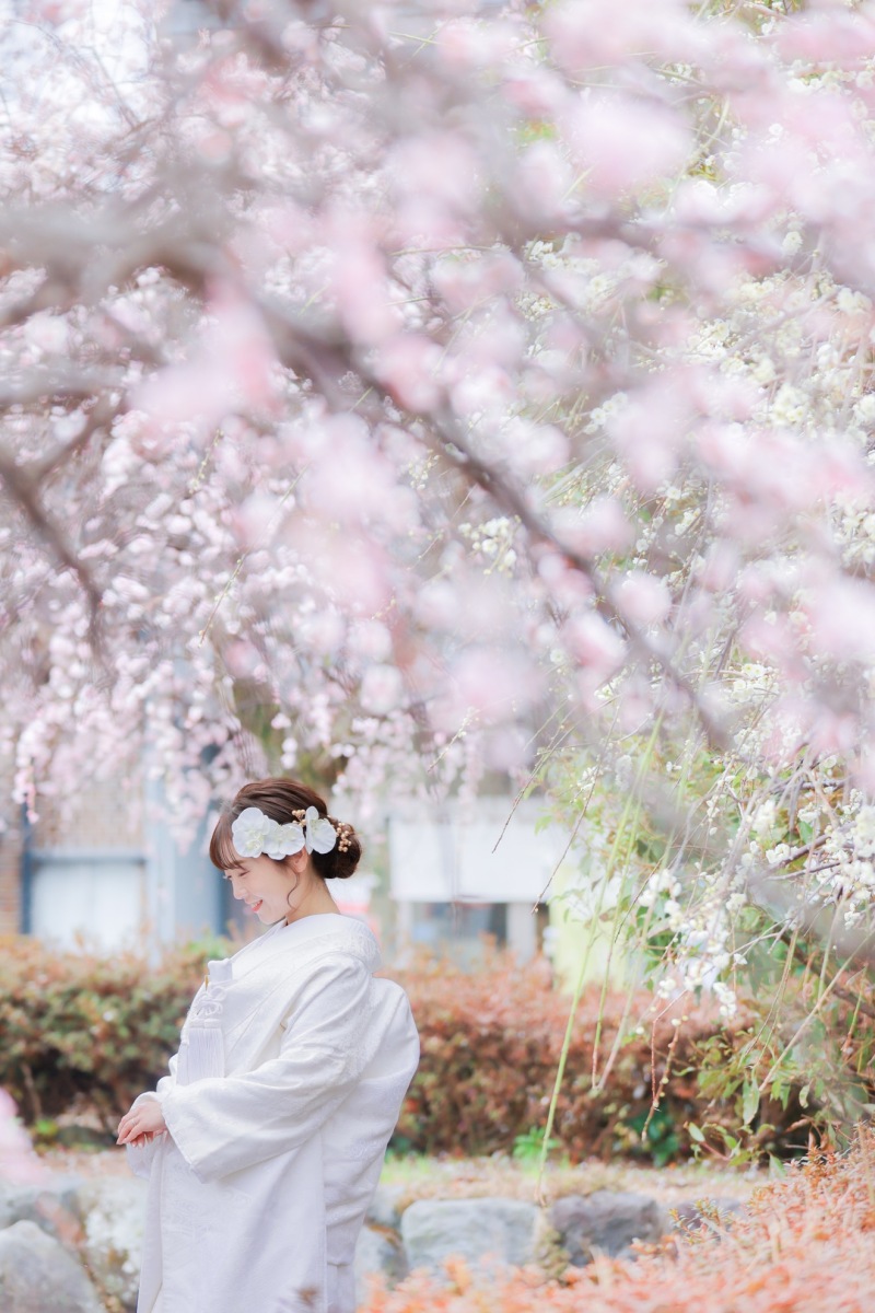 梅の中での撮影も。