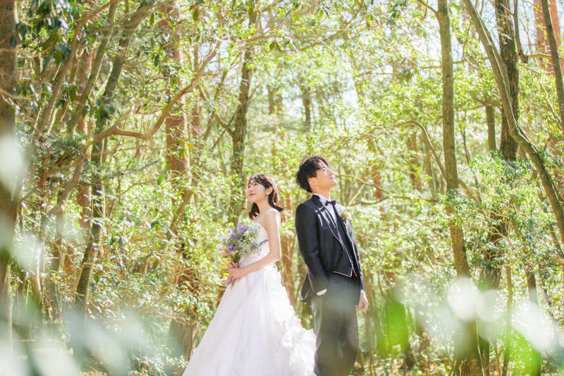 暖かい雰囲気のお写真に