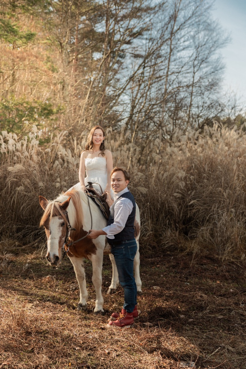 ススキの綺麗な中で