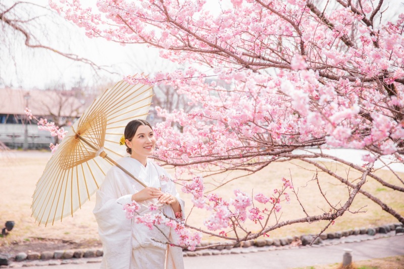 桜ピンクと白無垢