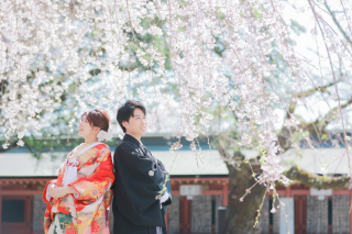 春の枝垂れ桜と浅間大社でのロケーションフォト