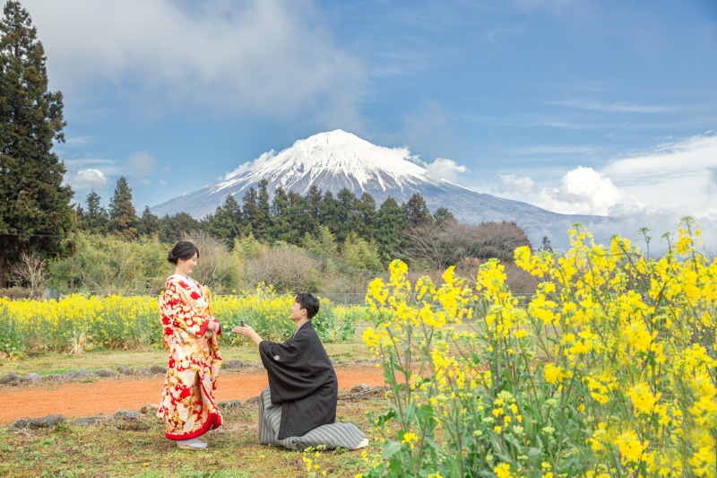 霧からの富士山が!