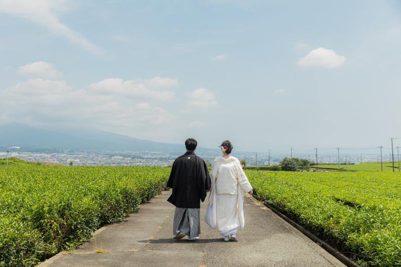 お茶畑と青空ロケーション