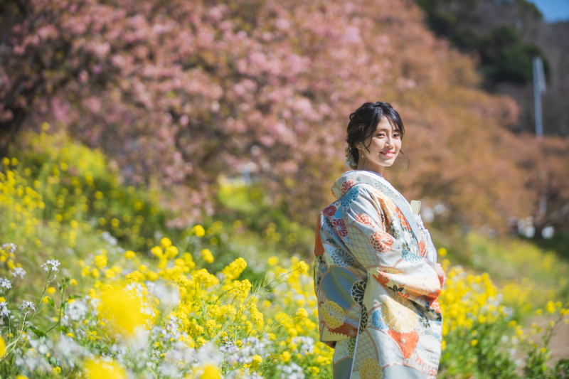 2月上旬から順番に開花していく河津桜