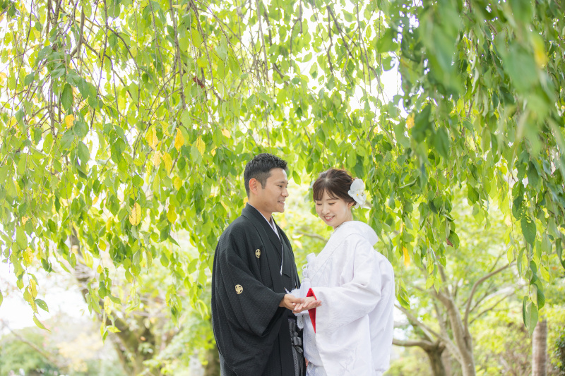 緑が彩り映えますね