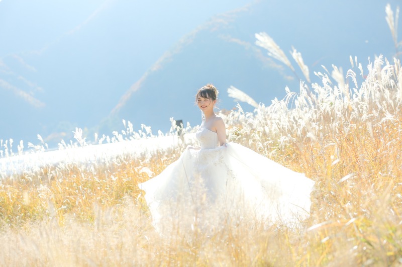 ススキの草原は秋のキラキラスポット