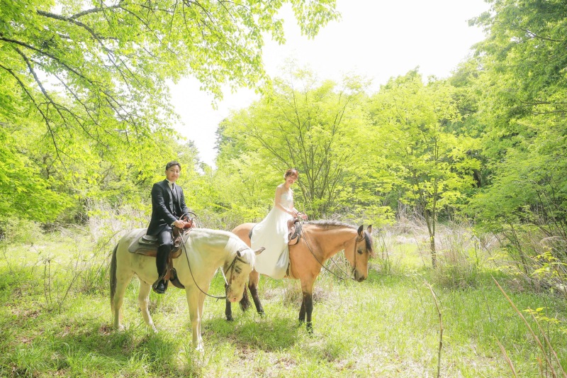 夏の美しい緑の森での乗馬撮影