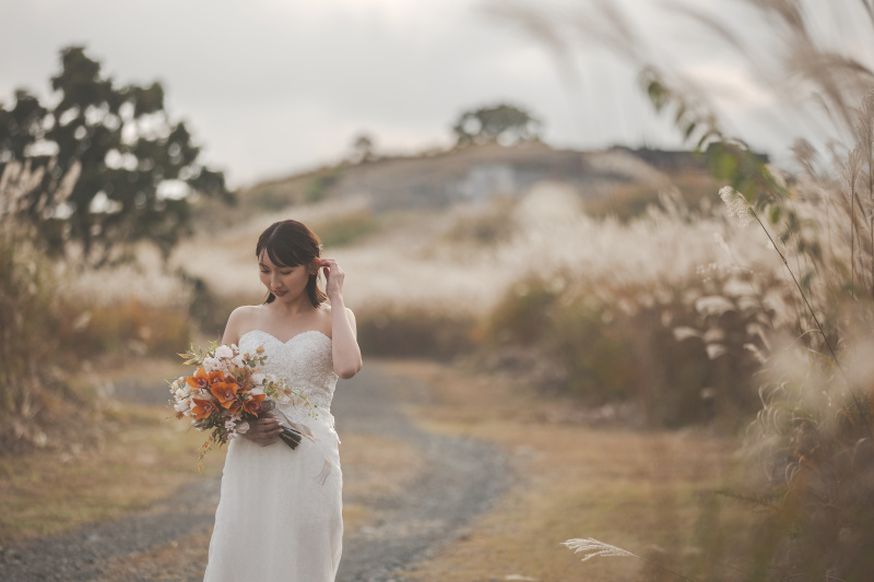 ススキの草原で