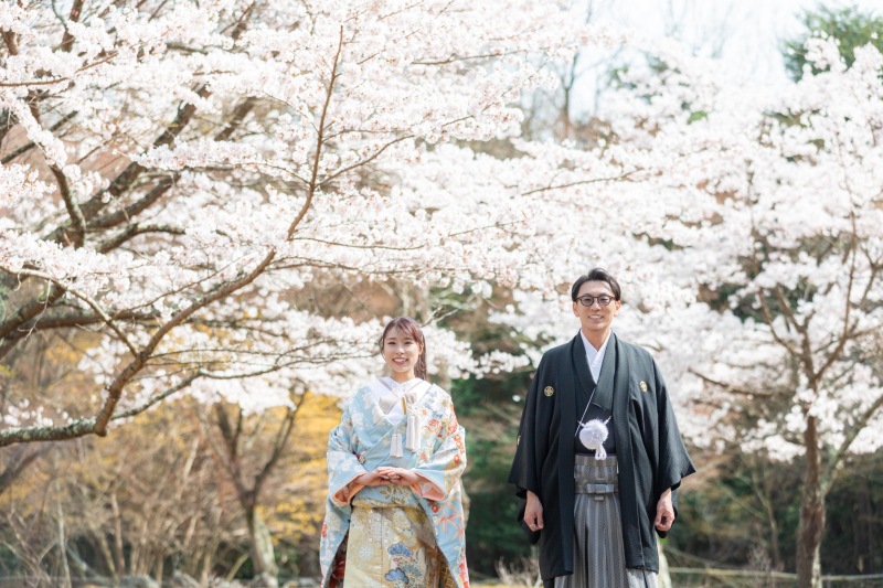 4月末のソメイヨシノ