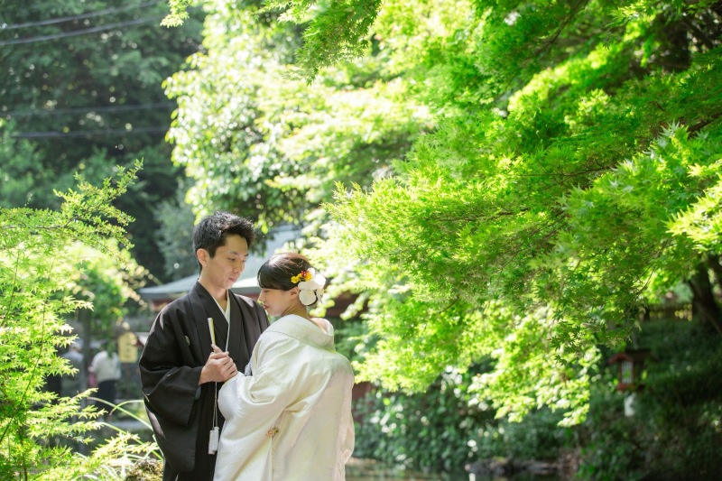 緑が美しく、とても綺麗