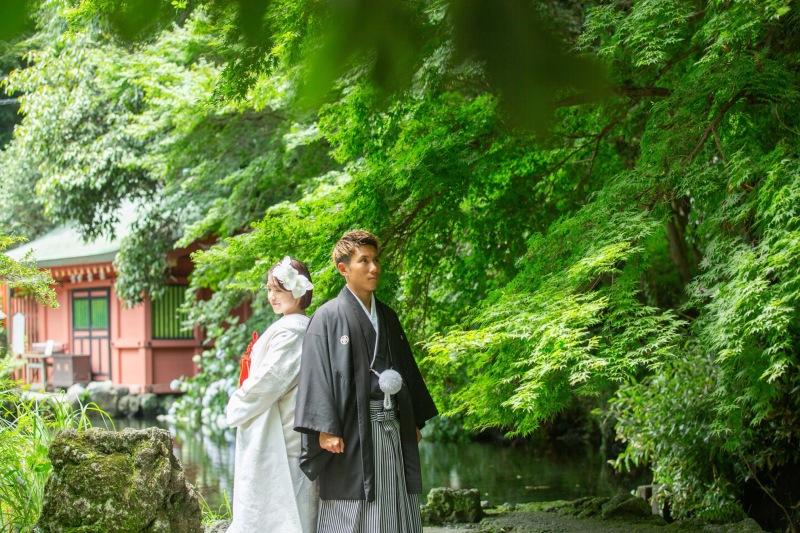 神社での新緑も
