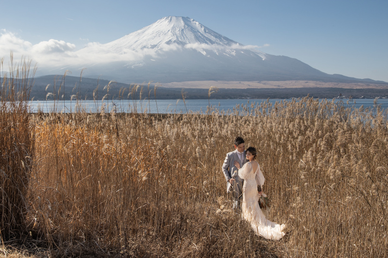 ススキと富士山