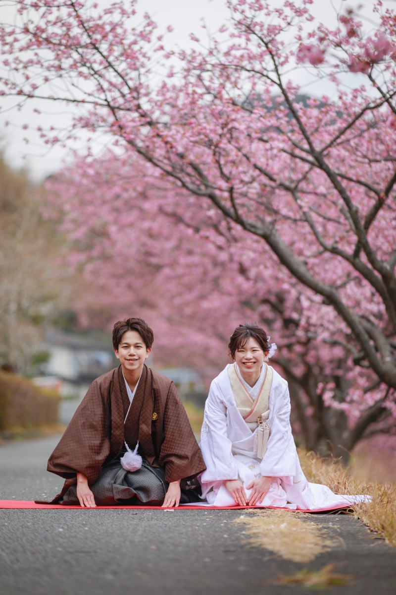 南伊豆の河津桜プラン