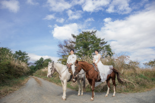 青空と草原や乗馬で