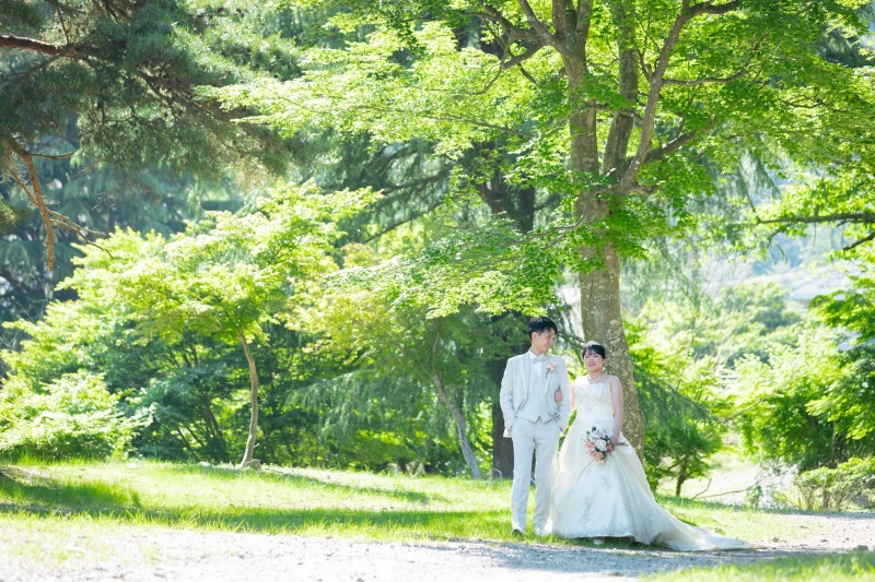 新緑の鮮やかな森での撮影