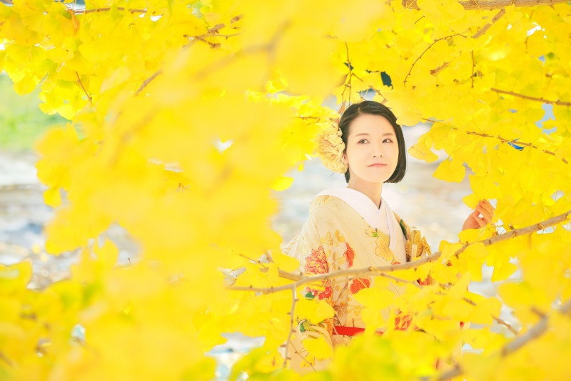 銀杏の並木の中で