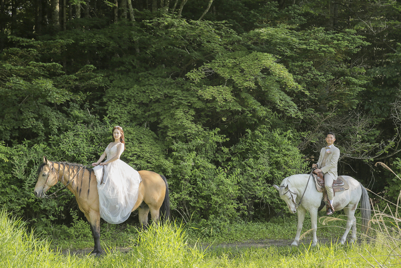 可愛いお馬さんと森でお散歩写真