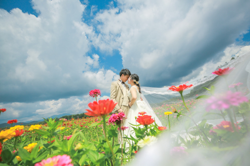 お花畑や新緑、ひまわり畑のたくさんのロケ地で