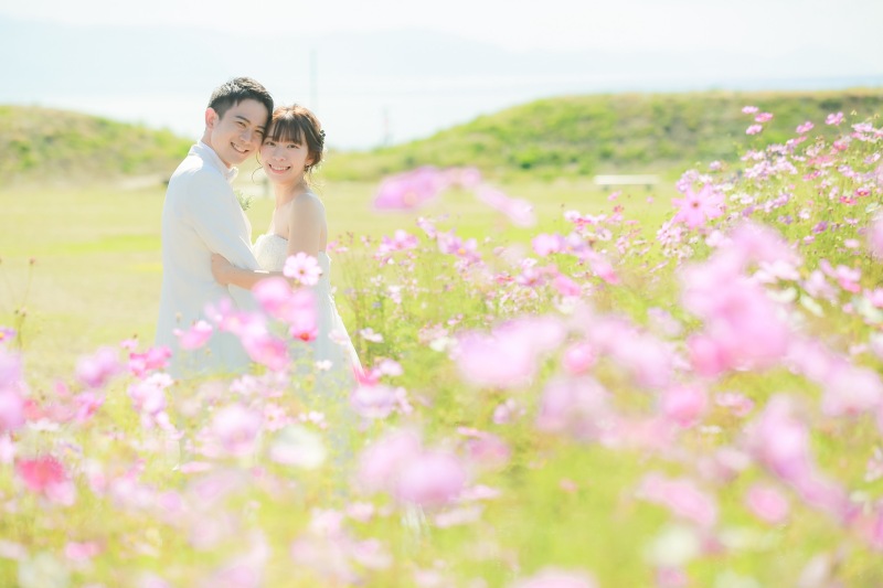 コスモス畑で。