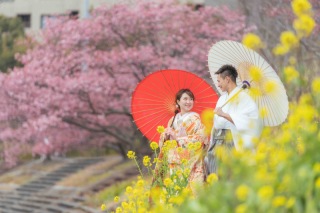 河津桜や菜の花畑での撮影
