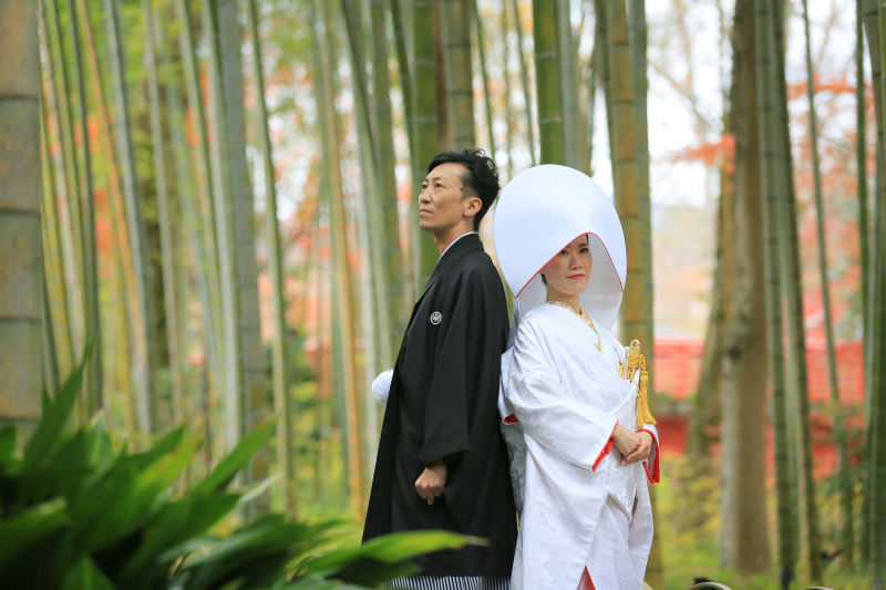 修善寺の竹林の小径で