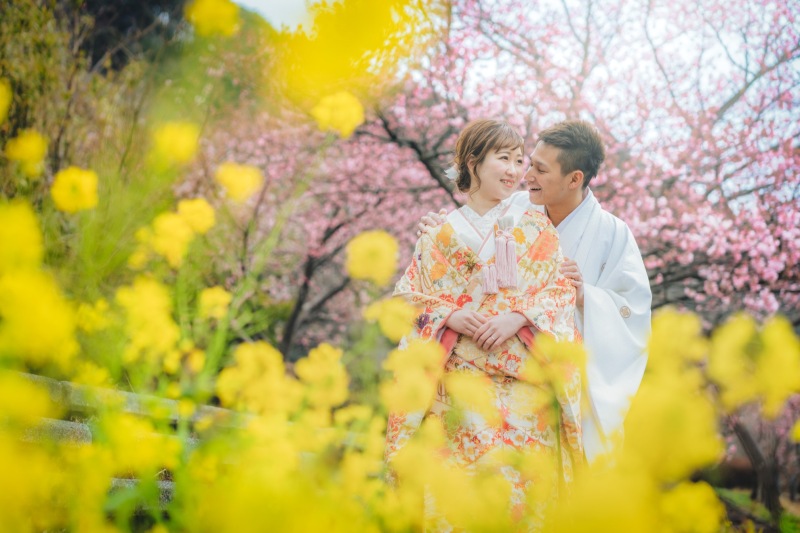 黄色の菜の花も