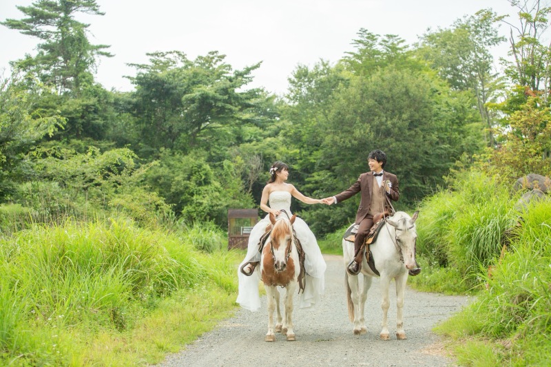 緑の森、高原をお馬さんと一緒に撮影する乗馬ロケーションフォト