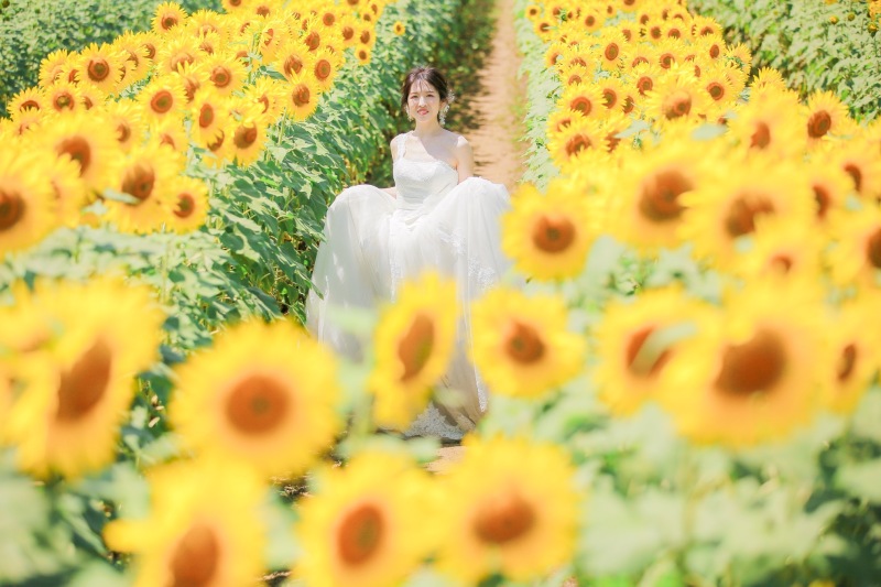 ひまわり畑やお花畑での夏の富士山の高原ロケーションフォト