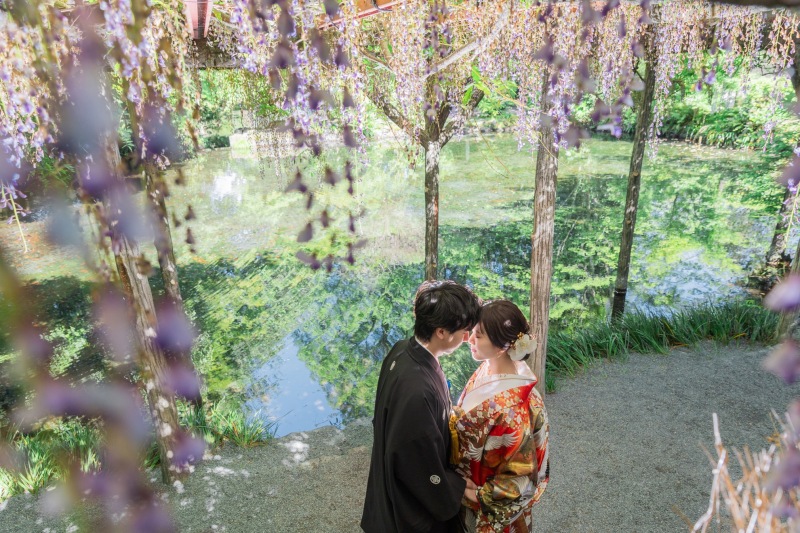 池と藤の花が綺麗な場所で