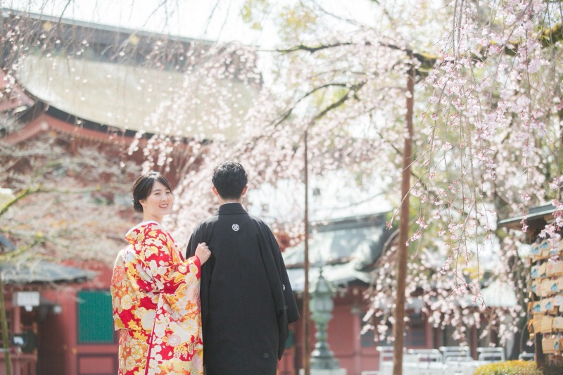 神社は枝垂れ桜が満開に