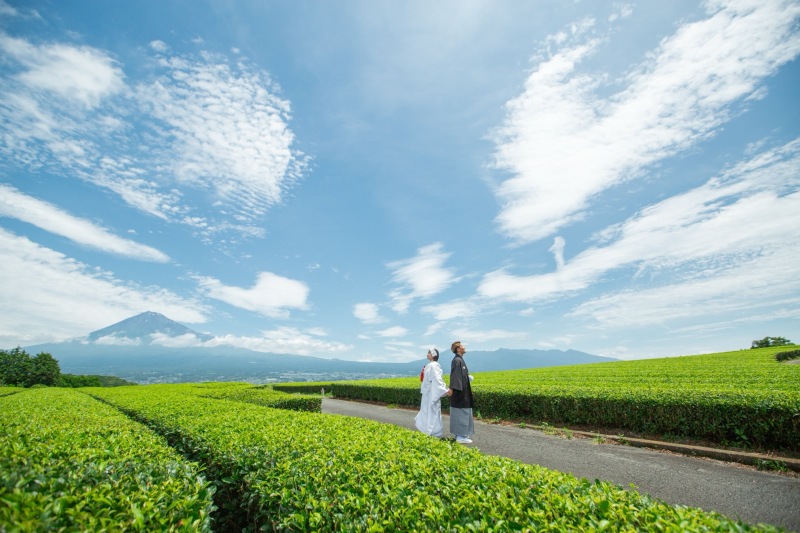 青い空、梅雨とは思えません