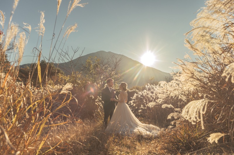 ススキの草原でサンセット