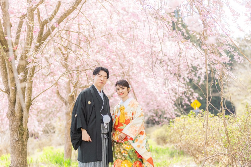 枝垂れ桜が綺麗な場所で