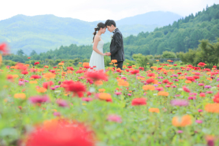 お花畑ロケーション