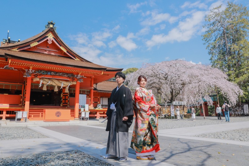 晴れて青空と桜と神社の美しいコントラスト