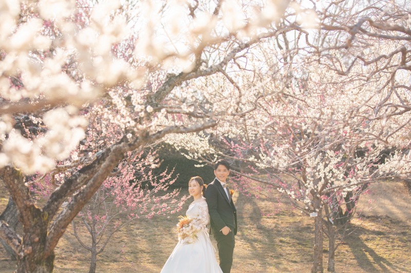 梅も開花 富士山プランも春が始まりました