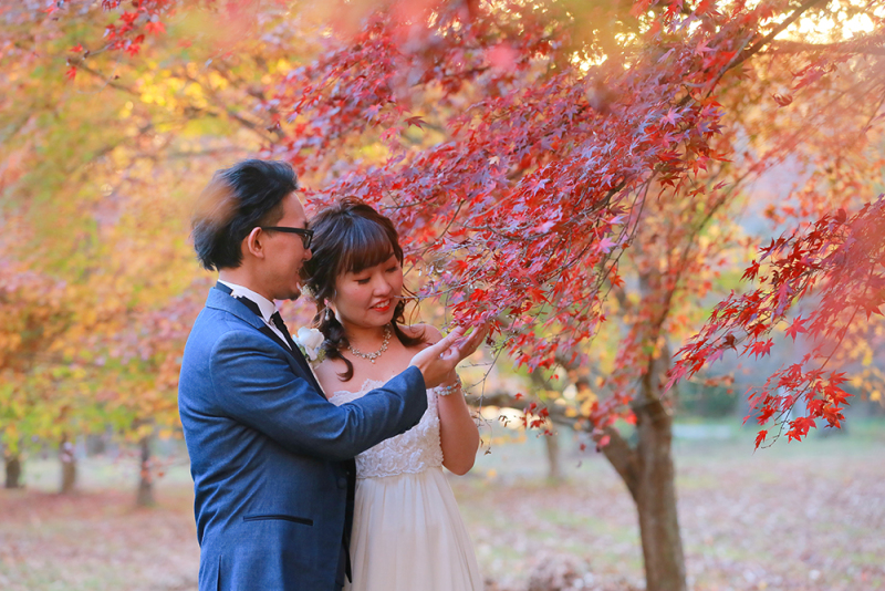 11月のご予約は埋まりやすい為お早めに