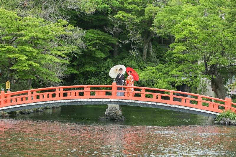 赤い橋と池、新緑