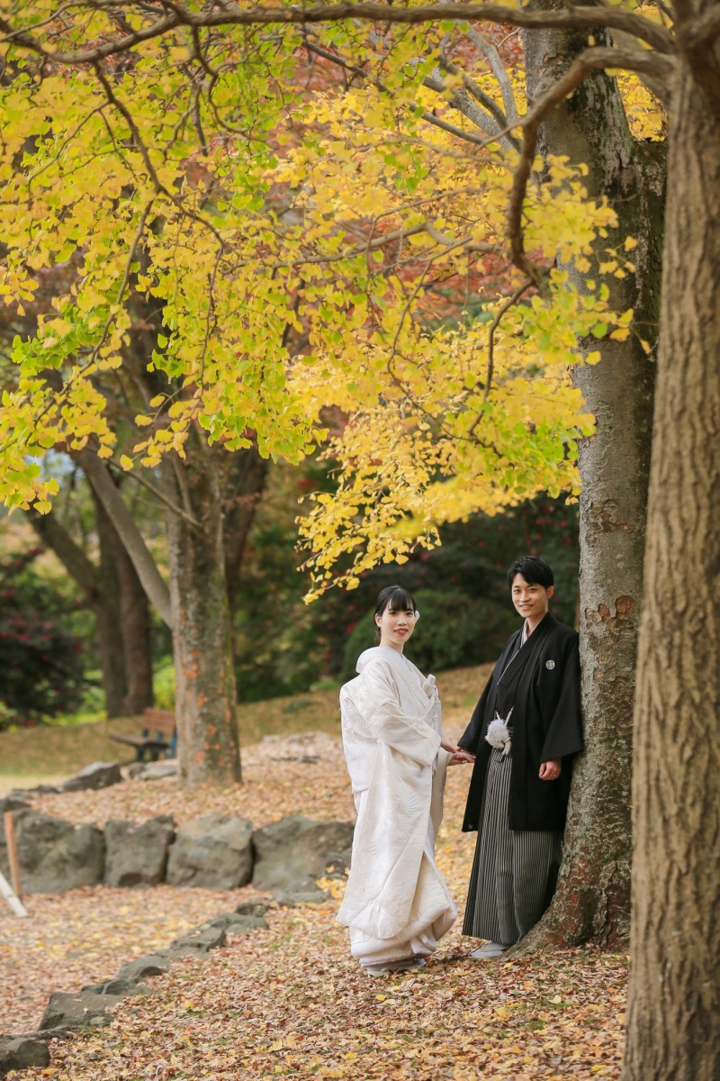 イチョウの木の下で