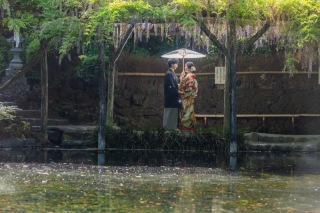 藤の花や新緑の季節・和装富士ロケーション