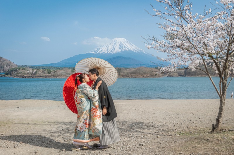富士山+桜