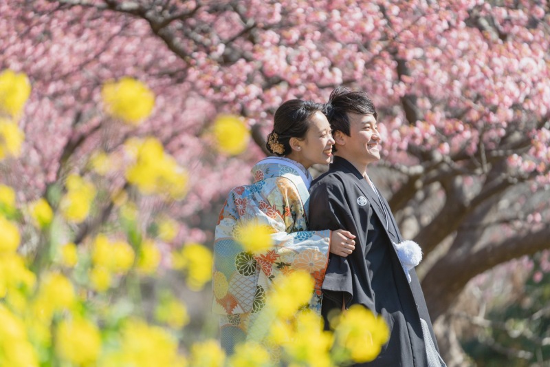 河津桜と和装の美しいロケ地で