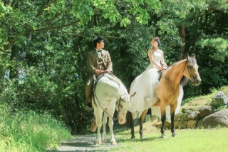 新緑の森や高原の乗馬ウェディングフォト