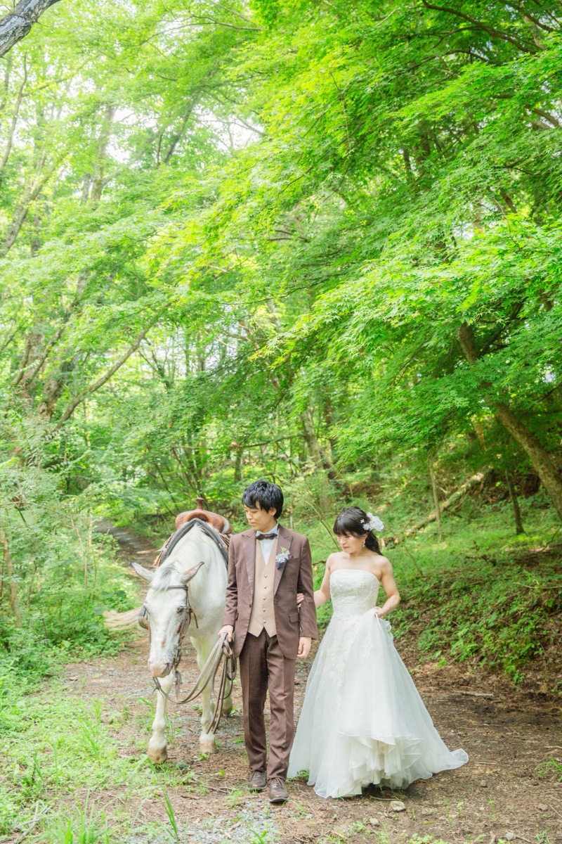 お馬さんとお散歩